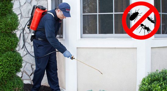 Çamaş Dezenfeksiyon böcek ilaçlama ve haşere kontrolü — ilaclama-tr.com
